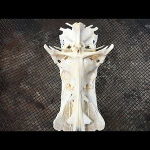 Fish bone crucifix